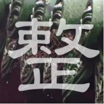 sei